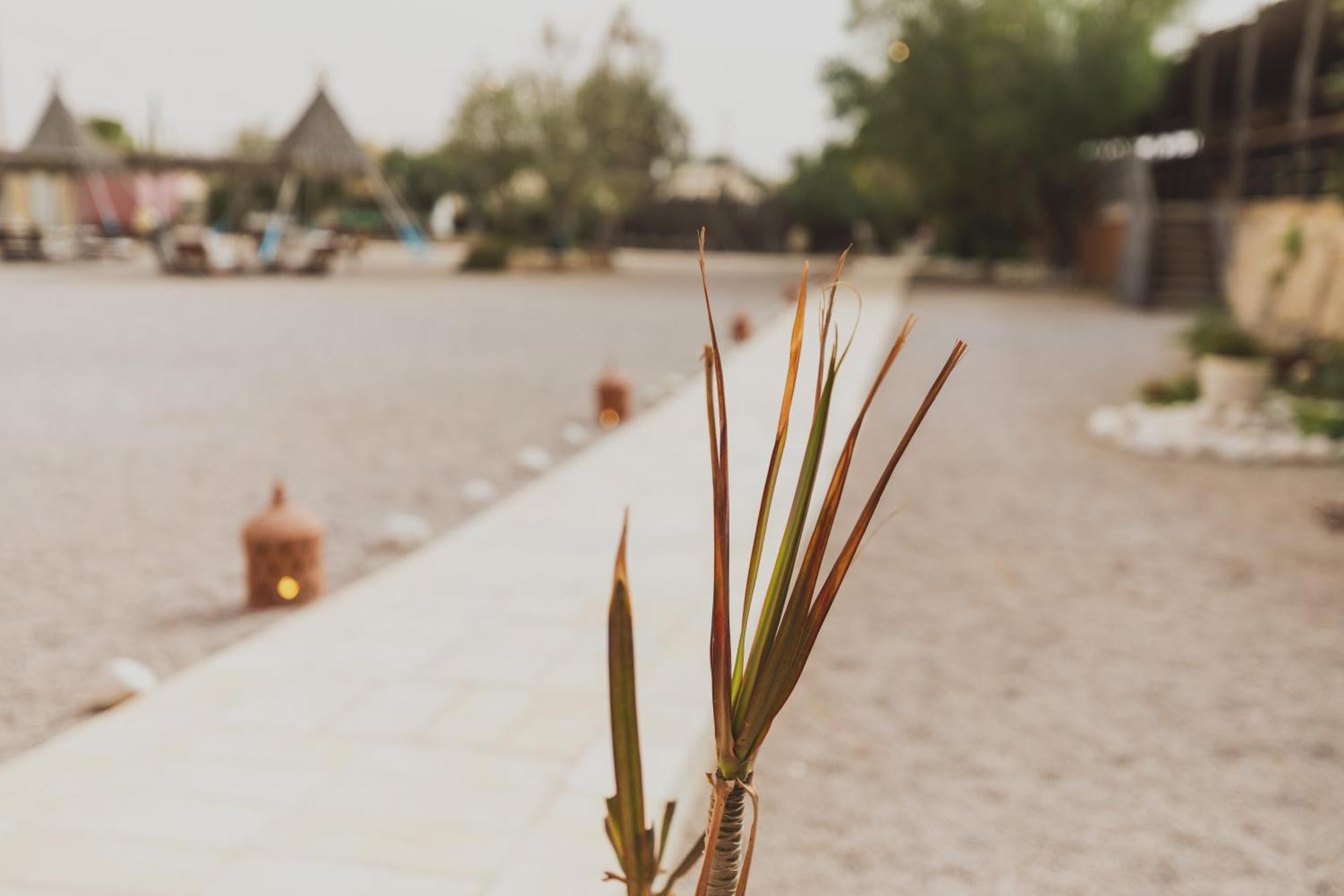 Jacob Mitzpe Ramon Hotel Ngoại thất bức ảnh